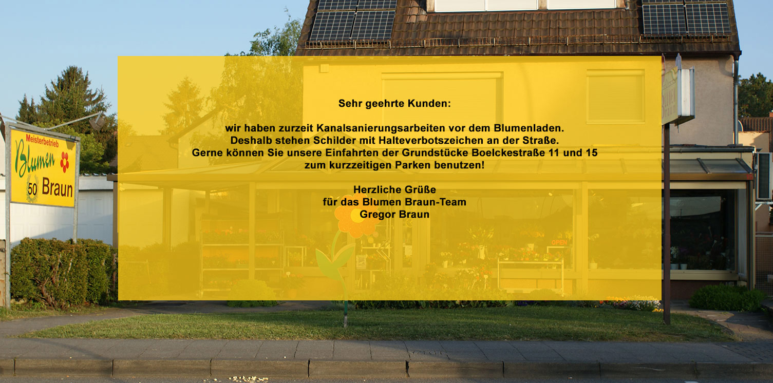 Park-Hinweis