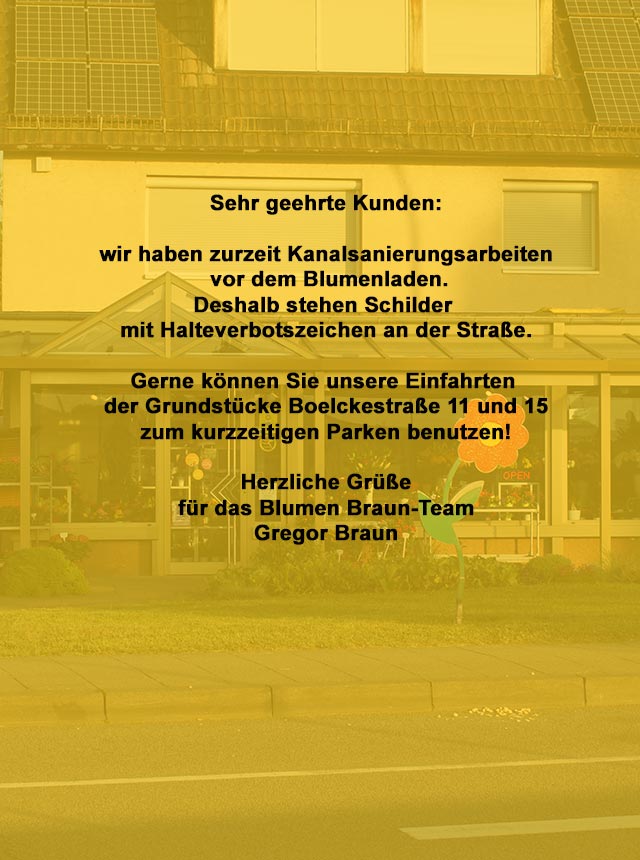 Park-Hinweis